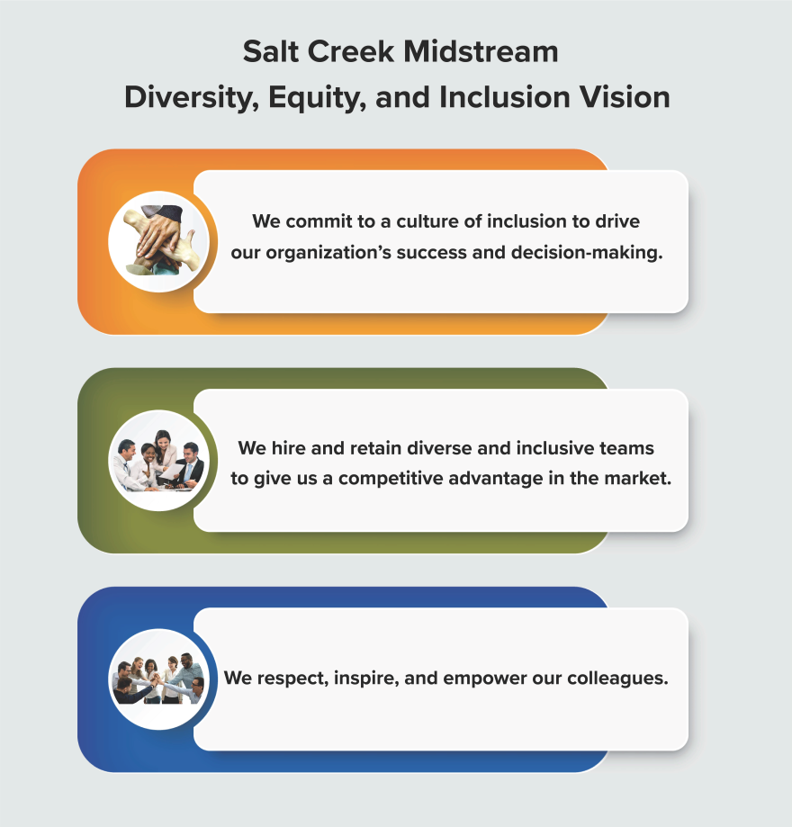 SCM DEI Vision Statement